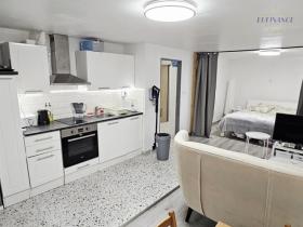 Prodej bytu 1+kk, Kralupy nad Vltavou, Přemyslova, 133 m2