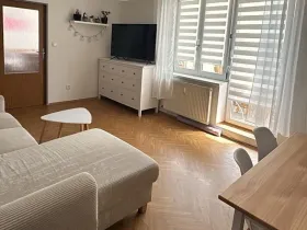 Prodej bytu 2+kk, Plesná, Kostelní, 41 m2