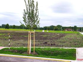 Prodej pozemku pro bydlení, Choťánky, 566 m2