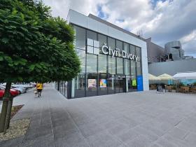 Pronájem obchodního prostoru, České Budějovice, Větrná, 623 m2