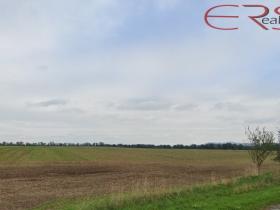 Prodej pole, Ptýrov, 55326 m2