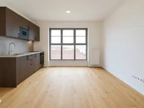 Pronájem bytu 1+kk, Brno, Bratislavská, 25 m2