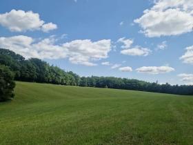 Prodej lesa, Bílá Lhota, 694 m2