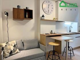 Pronájem bytu 1+kk, Brno, Koliště, 28 m2
