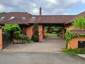 Pronájem rodinného domu, Krhová, Na Nivách, 300 m2