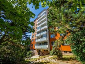 Pronájem bytu 1+kk, Třebíč, Energetiků, 31 m2