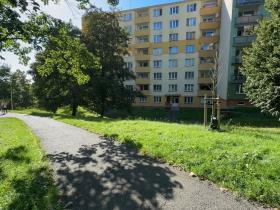 Prodej bytu 2+1, Sokolov, Švabinského, 59 m2