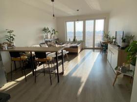 Prodej bytu 1+kk, Pardubice, Pod Vinicí, 43 m2