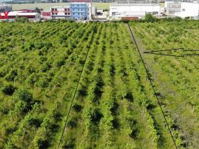 Prodej komerčního pozemku, Brno, 2465 m2