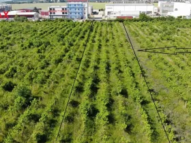 Prodej komerčního pozemku, Brno, 2465 m2