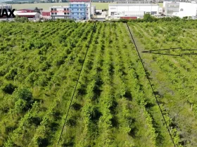 Prodej komerčního pozemku, Brno, 2465 m2