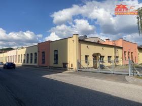 Pronájem výrobních prostor, Česká Skalice, Křenkova, 4200 m2