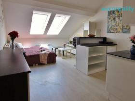 Prodej bytu 1+kk, Praha, Washingtonova, 31 m2