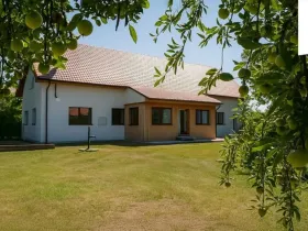 Prodej vícegeneračního domu, Hrušovany nad Jevišovkou, Drnholecká, 195 m2