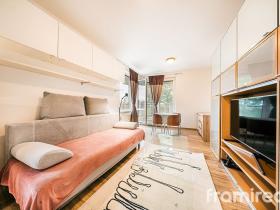 Pronájem bytu 1+kk, Brno, Pahrbek, 27 m2