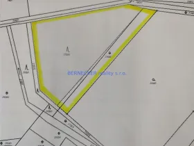 Prodej lesa, Rasošky, 5127 m2