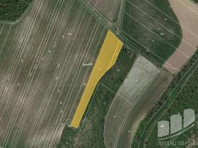 Prodej pole, Popice, 5208 m2