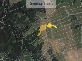 Prodej pole, Úbislavice, 15205 m2