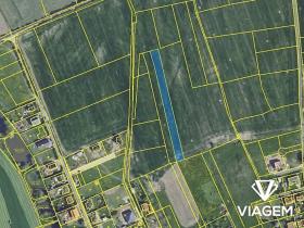 Prodej podílu pole, Skuhrov, 2180 m2