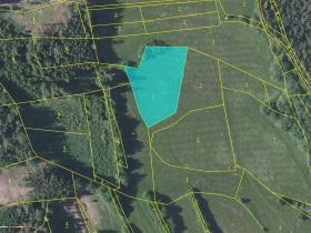 Prodej louky, Neustupov - Královna, 4873 m2