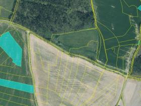 Prodej pole, Louňová, 53797 m2