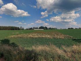 Prodej zahrady, Řepeč - Kášovice, 1434 m2