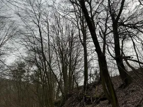 Prodej podílu lesa, Luka, 3584 m2