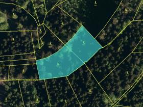 Prodej podílu lesa, Valašská Polanka, 1343 m2