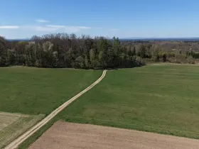 Prodej lesa, Chlum u Třeboně - Žíteč, 389696 m2