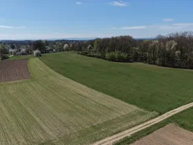 Prodej lesa, Chlum u Třeboně - Žíteč, 379696 m2