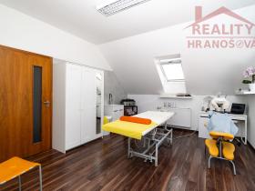 Prodej obchodního prostoru, Dolní Benešov, Vývoz, 39 m2