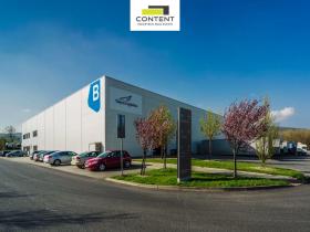 Pronájem výrobních prostor, Krupka, Eduarda Proppera, 12500 m2