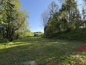 Prodej louky, Sušice, 1985 m2