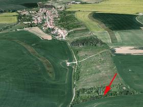 Prodej lesa, Mouřínov, 1278 m2