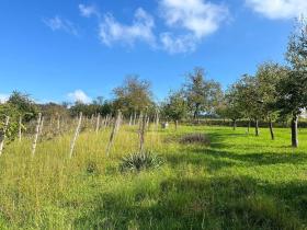 Prodej pozemku pro bydlení, Buchlovice, K Buchlovu, 1251 m2