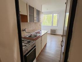 Pronájem bytu 1+1, Duchcov, V Domkách, 44 m2