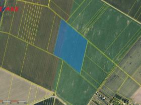 Prodej podílu 2/3 pole, Těšetice, 172887 m2