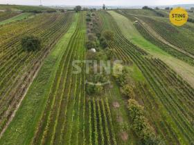 Prodej sadu/vinice, Čejkovice, 2286 m2