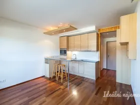 Pronájem bytu 1+kk, Praha - Vysočany, Podnádražní, 22 m2