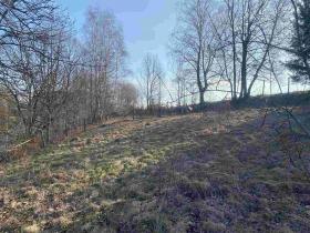 Prodej zahrady, Horní Stropnice, 2062 m2