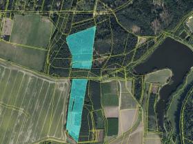 Prodej pozemku, Veliny, 50855 m2