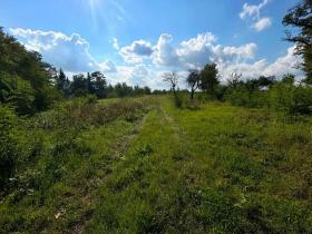 Prodej pozemku pro bydlení, Krušovice, 1250 m2