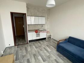 Pronájem bytu 1+kk, Most, U Věžových domů, 22 m2