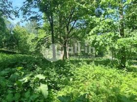 Prodej pozemku pro bydlení, Malá Morava - Vysoký Potok, 1411 m2