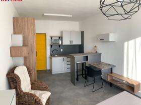 Pronájem bytu 1+kk, Havířov - Město, E. F. Buriana, 42 m2