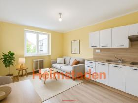 Pronájem bytu 1+kk, Havířov - Město, Vardasova, 23 m2