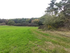 Prodej louky, Nečín, 27616 m2