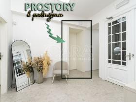 Pronájem komerční nemovitosti, Ostrava - Moravská Ostrava, Přívozská, 51 m2