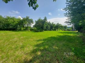 Prodej pozemku pro bydlení, Dražíč, 2918 m2