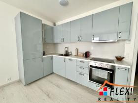 Pronájem bytu 1+kk, Ostrava, F. X. Riepla, 40 m2